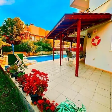 Lion Dreams 1 -swimming Pool Belek