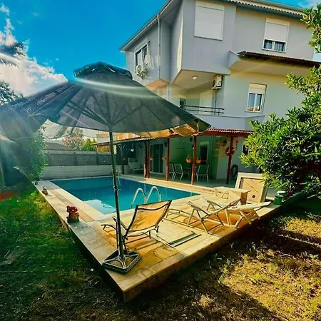 Lion Dreams 1 -swimming Pool *